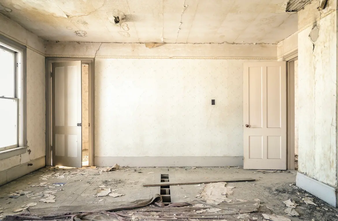 Waste disposal crew managing a cleanout project in Springdale